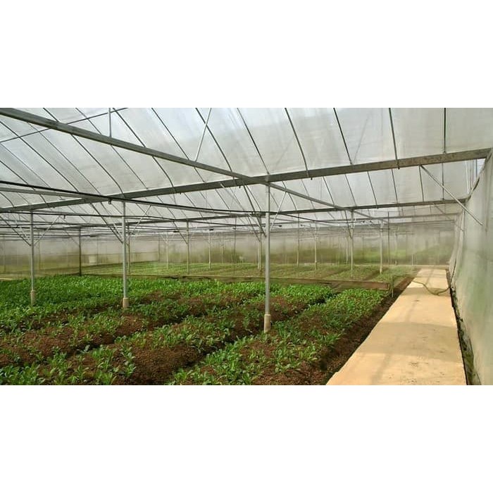 JARING NYAMUK KASA INSECT SCREEN NET PUTIH MESH 50 ECERAN LEBAR 1M