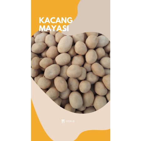 

Kacang Mayasi