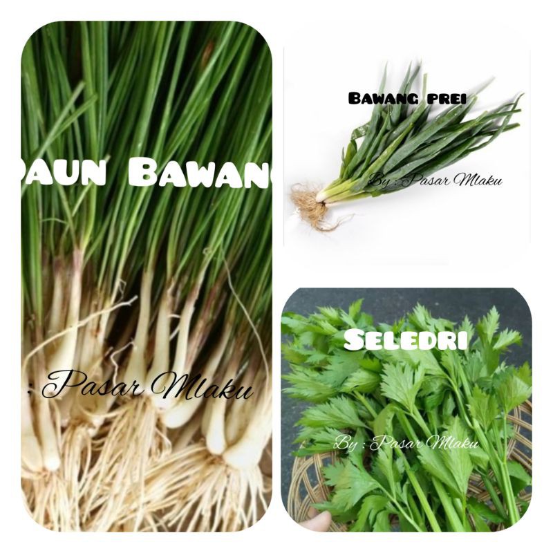 

BAWANG PREI / DAUN BAWANG / LOKIO / SELEDRI