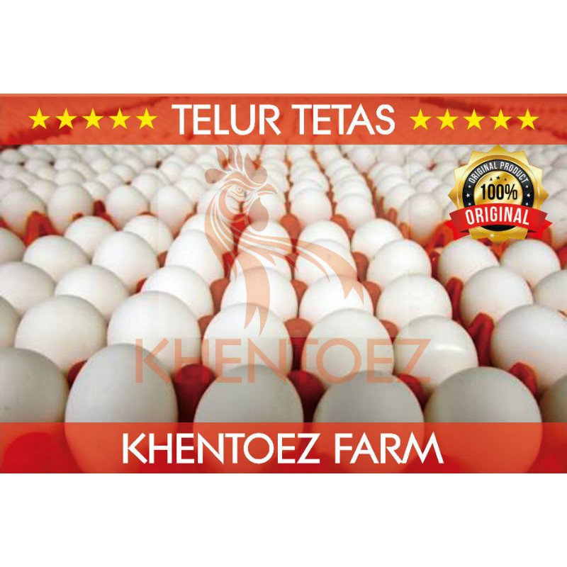 Jual Telur Ayam Brahma Shopee Indonesia 4359