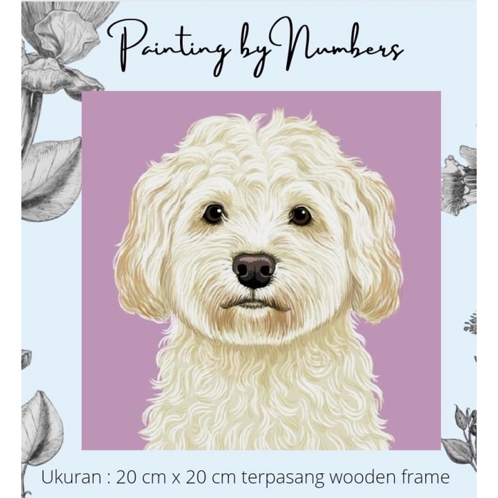 

Produk Terbaru Diy Painting By Number 20X20Cm Kerajinan Tangan - Maltese Dog