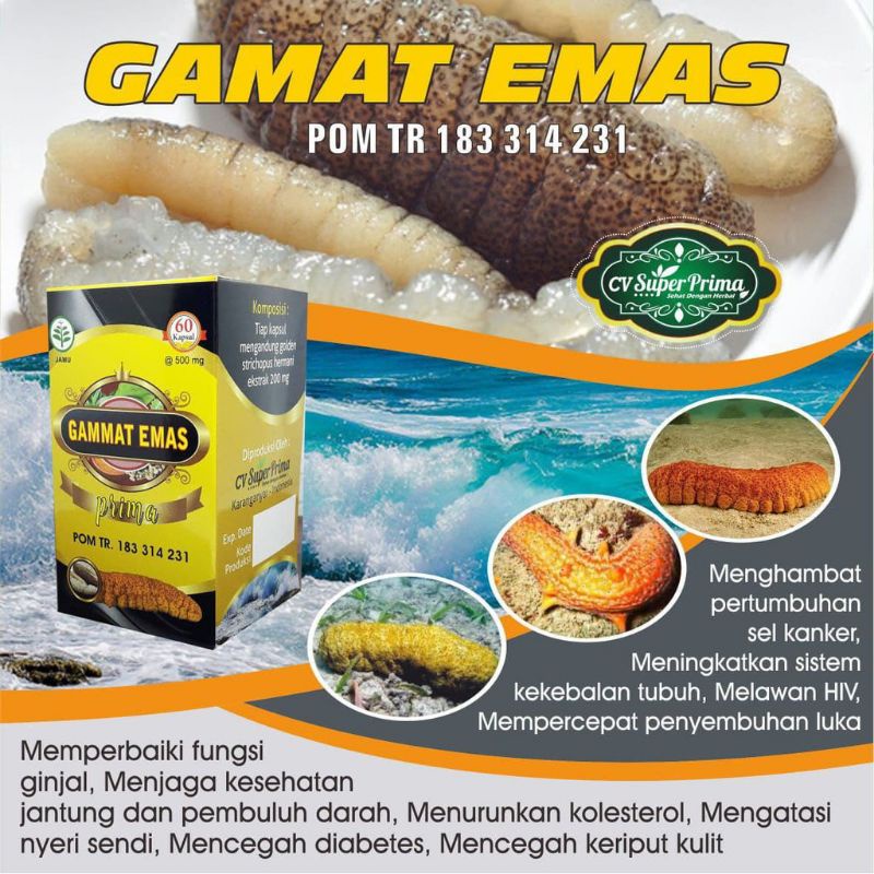 Gamat Emas Obat Herbal Nyeri Sendi Pegal Linu Osteoporosis Patah Tulang Arthritis