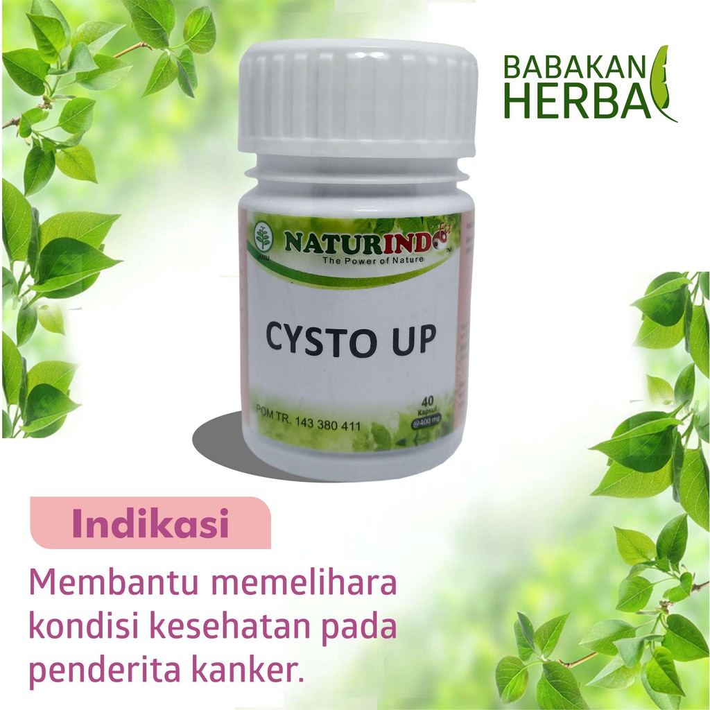 

Obat Herbal Terapi Penyembuhan Penyakit Kista Miom