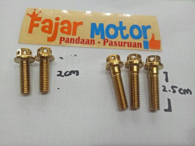 Baut monel model probolt gold mio fino