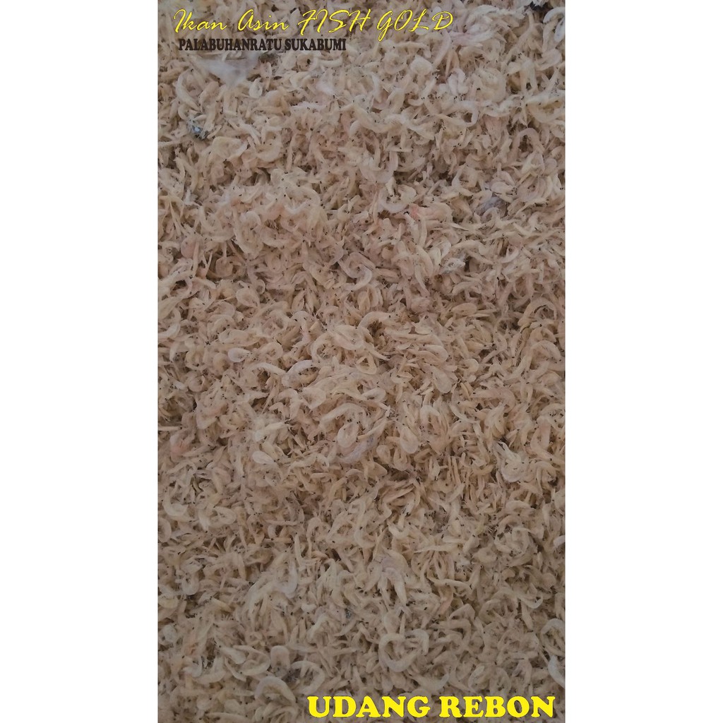 

UDANG REBON 500gr