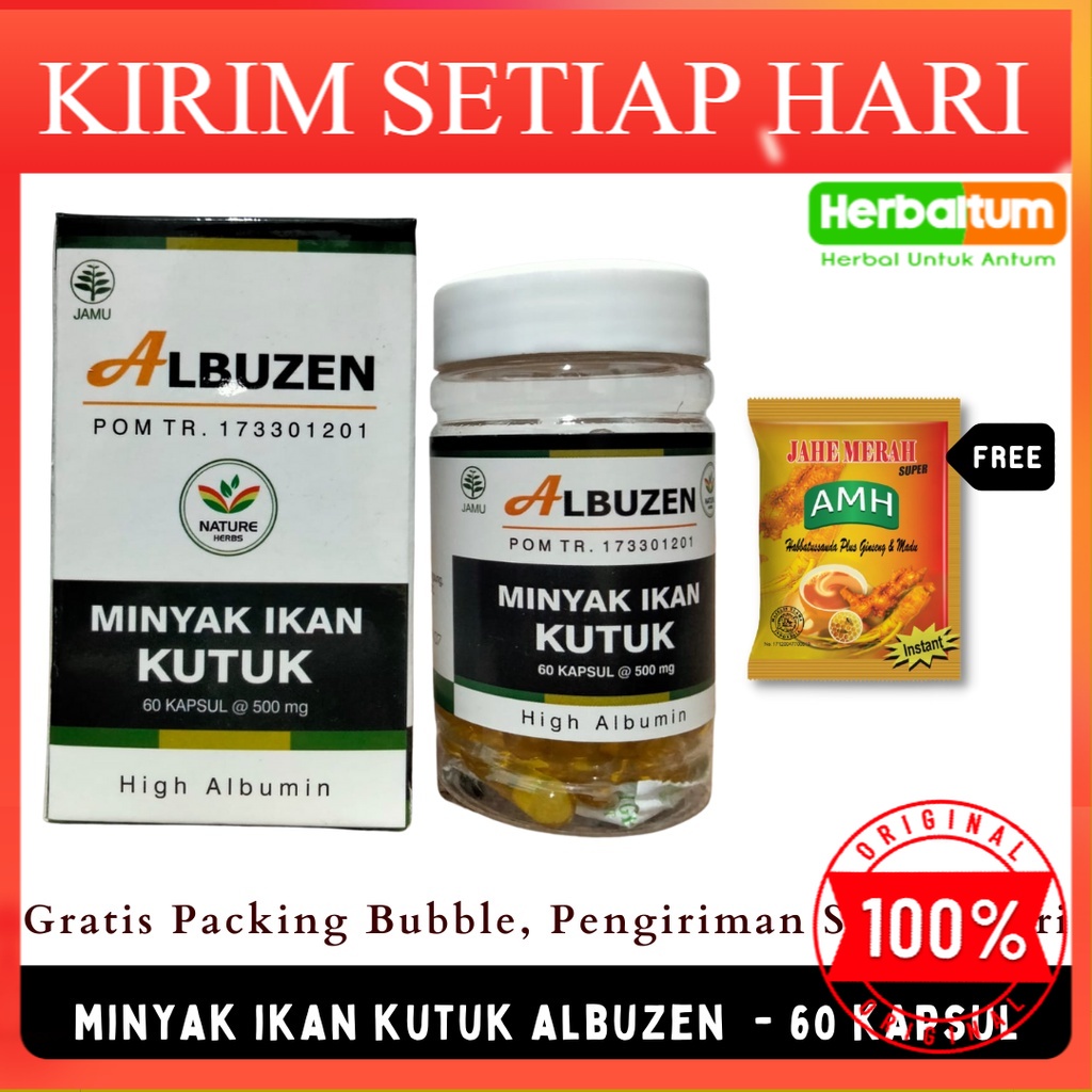 MINYAK IKAN GABUS TERBAIK / MINYAK IKAN GABUS BPOM / HALAL MUI / MINYAK IKAN GABUS ALBUZEN 60 KAPSUL