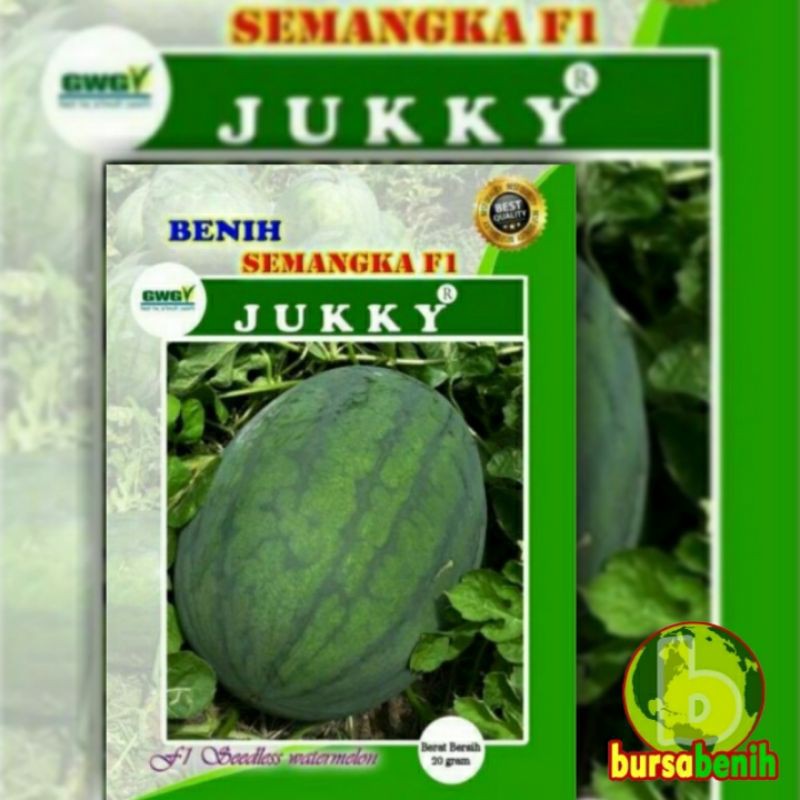 Bibit Semangka Non Biji JUKKY F1 bersertifikat || Benih Semangka non biji unggul isi 20 gram.