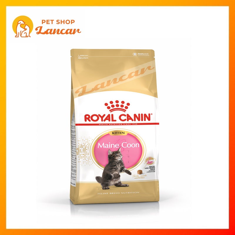 Royal Canin Kitten Maine Coon Makanan Anak Kucing 400gr