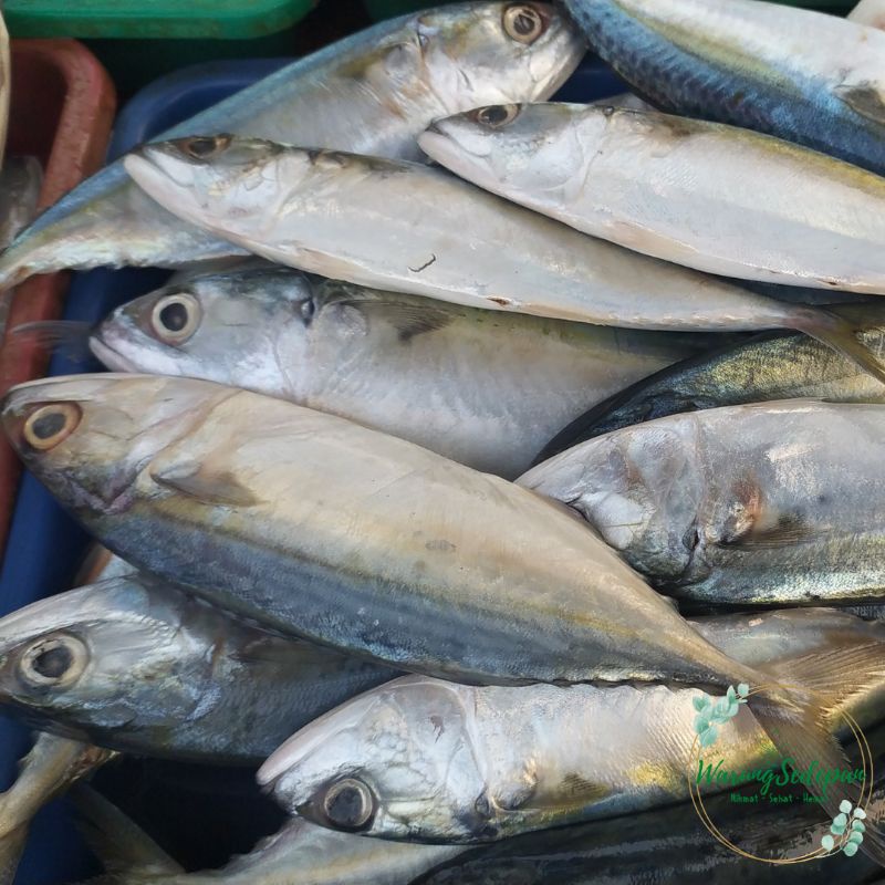 

Ikan Segar Ikan Kembung Banjar 500 gram Segar Bukan Frozen