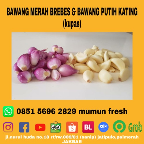 

BAWANG MERAH BREBES DAN BAWANG PUTIH KATING KUPASAN 500GR