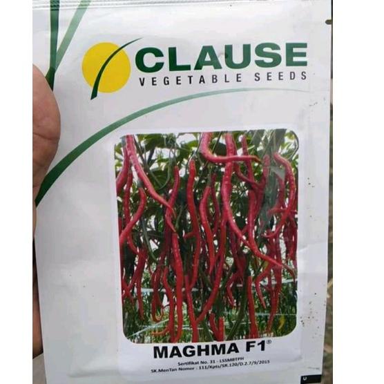 Koleksi Terbaru.. benih cabe keriting maghma f1 10 gr