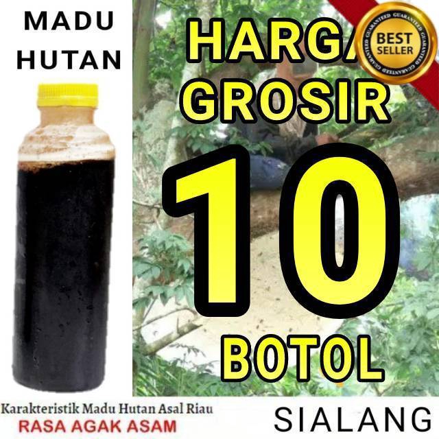 

GROSIR MADU HUTAN SIALANG RIAU SUMATRA / PANEN TIRIS BUKAN DI PERAS / BACA DESKRIPSI DAN GAMBAR