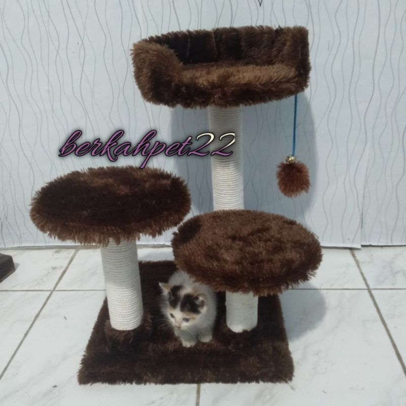 panjatan kucing kitten sofa bed garukan kucing bermain