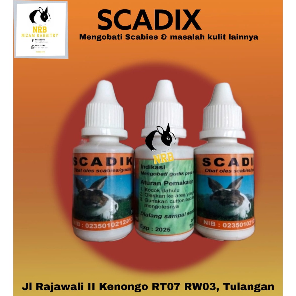 Scadik Obat Oles Scabies Kelinci