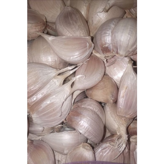 

BAWANG PUTIH KATING BERSIH