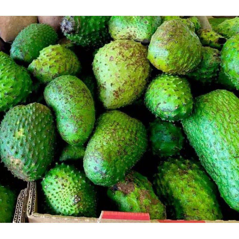 

sirsak fresh display 1kg