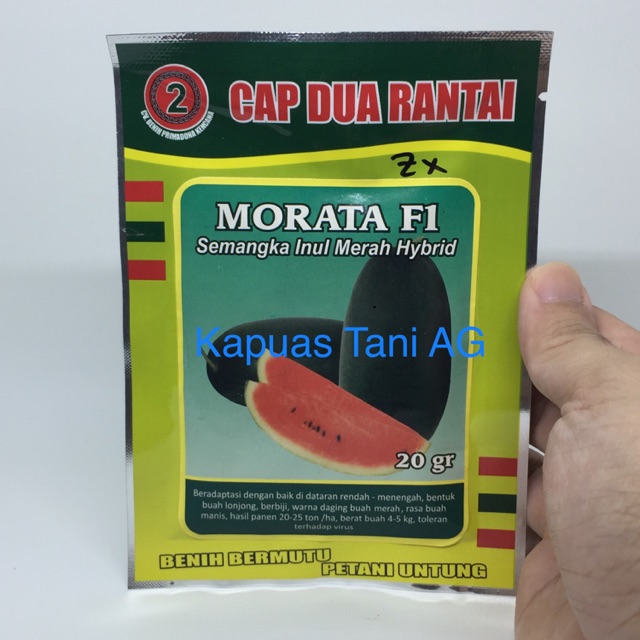 Morata F1 Semangka Inul