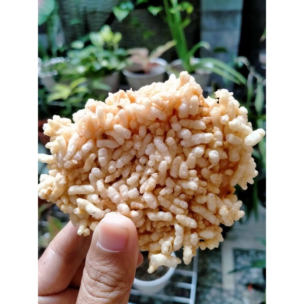 

Kerupuk Rengginang