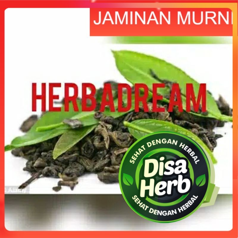 

TEH HIJAU LOKAL BUBUK 100 GRAM - Camellia Sinensis - MURNI - JSR - REMPAH