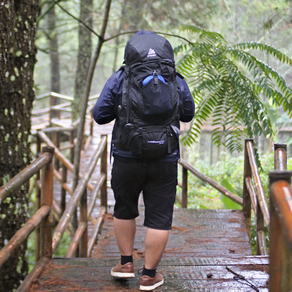 Tas carrier outdoor 60+5L SA / tas gunung/ tas carrier 60+5L SYDNEY ADVENTURE
