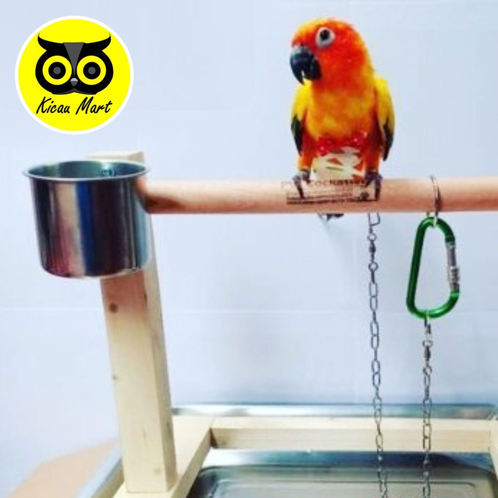 TANGKRINGAN PARROT KAYU KOPI PLUS TATAKAN CEPUK WADAH MAKAN MINUM TANGKRINGAN BURUNG NURI HANTU KAKATUA BAYAN SUN CONURE PARKIT AUSTRALIA MACAU ELANG DLL