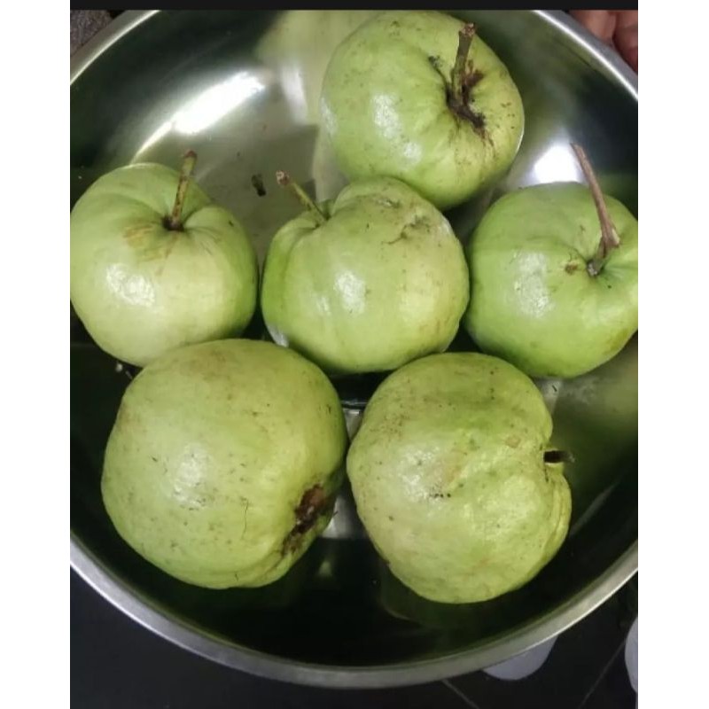 

Buah Jambu Kristal 1kg Manis Mengkel kriuk-kriuk