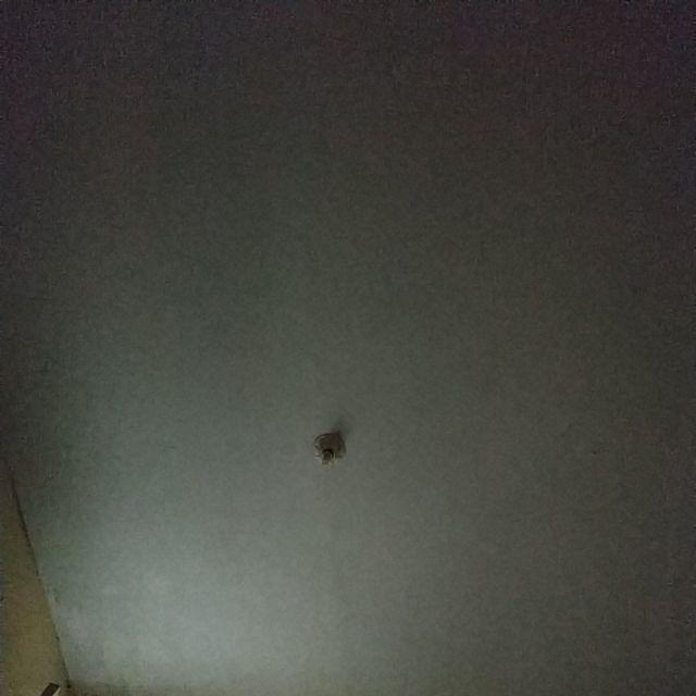 Sikat Lantai Wc Kamar Mandi Dinding Multifungsi