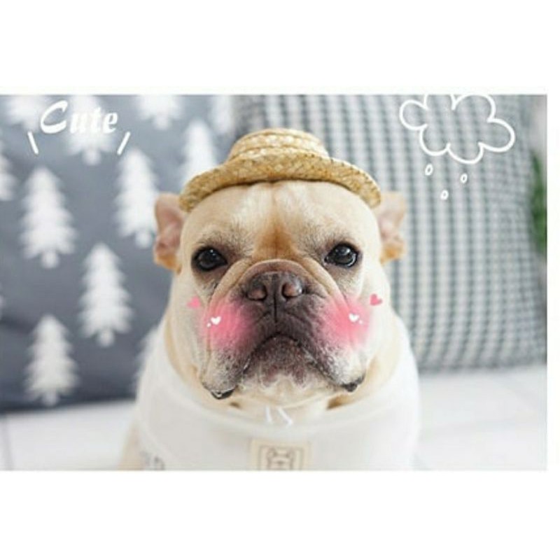 Pet Hat Jerami Topi Pantai Anjing Kucing Stylish Lucu Simple