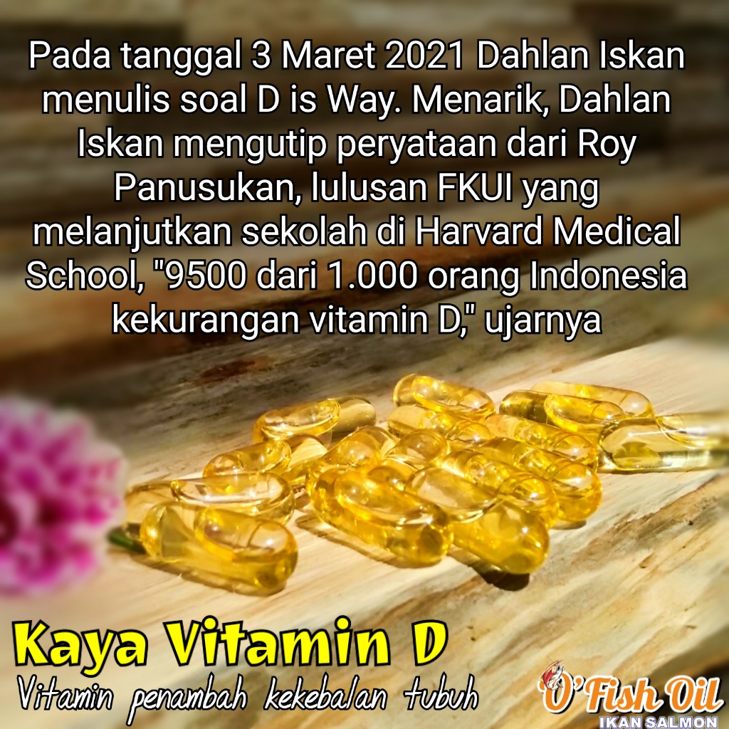 [GRATIS SABUN] Beli 3 Suplemen Penggemuk Badan O Fish Oil Omega Squa Minyak Ikan Hiu Suplemen Minyak Ikan