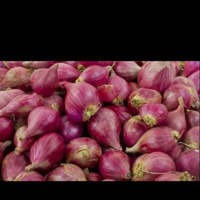 

Bawang merah biasa