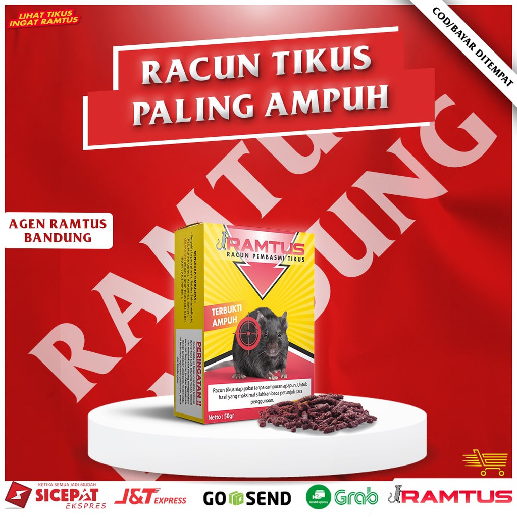 Jebakan pembasmi tikus RAMTUS
