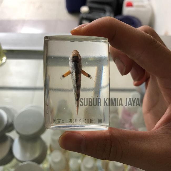 

FPC Epoxy Resin Clear Bening Transparant 135 gr ✵ ✄