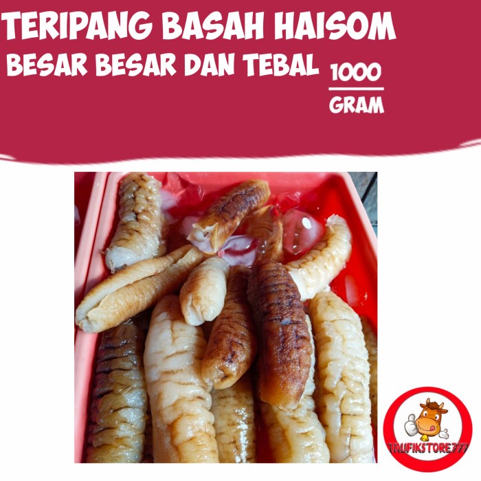 

teripang basah haisom 500gr besar besar