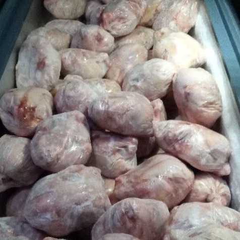 

Ayam karkas Broiler 500,600 gr