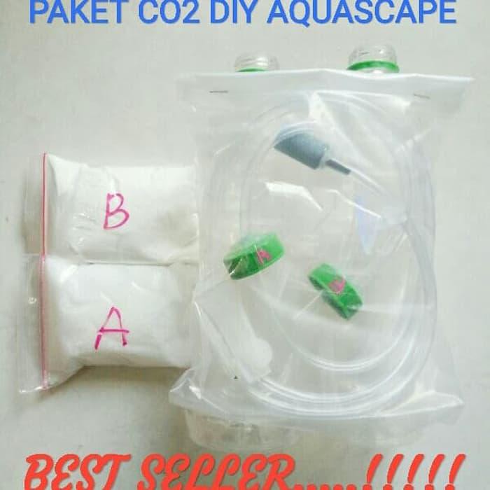 Aquascape Ideas Diy Co2 Aquascape