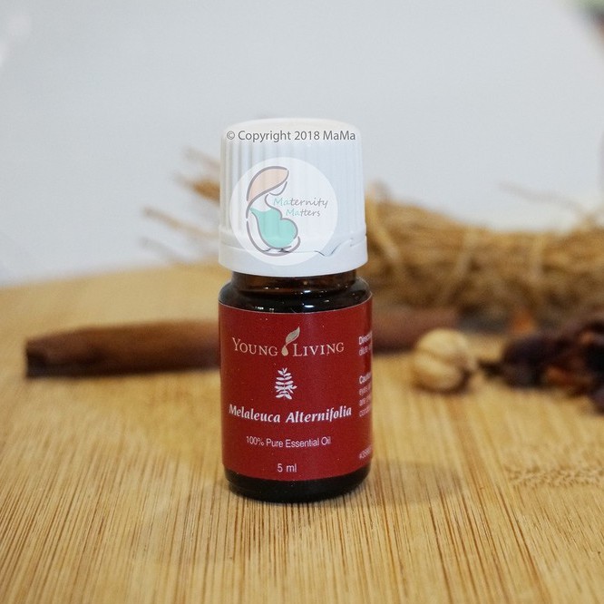 YL Melaleuca Alternifolia / Tea Tree Essential Oil 5ml