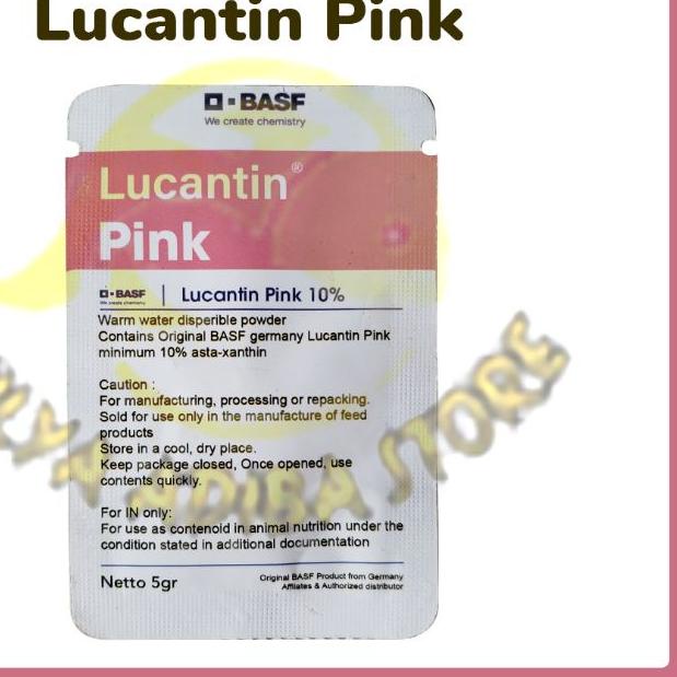 ♪ Lucantin Pink Louhan ✪