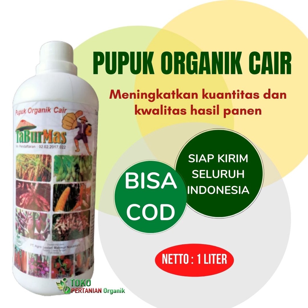 POC untuk sawit, TABUR MAS Pupuk cair Organik tanaman Damar