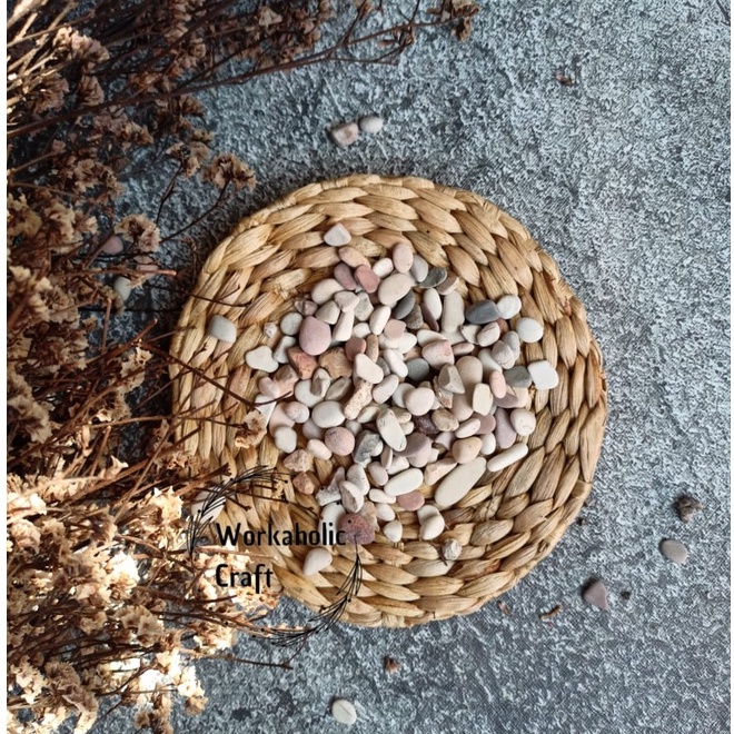 250 Gram Hiasan Laut Pasir Batu Kerang