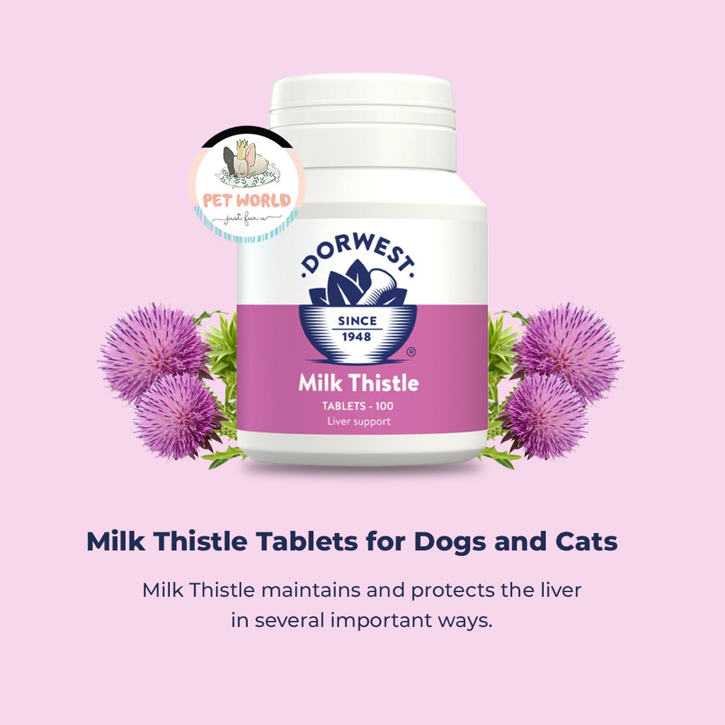 Jual Dorwest Milk Thistle Dog Liver Supplement Vitamin Obat Hati Anjing Indonesia Shopee Indonesia