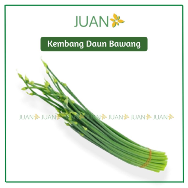 

Kembang Daun Bawang 250gr - Juan Freshmart