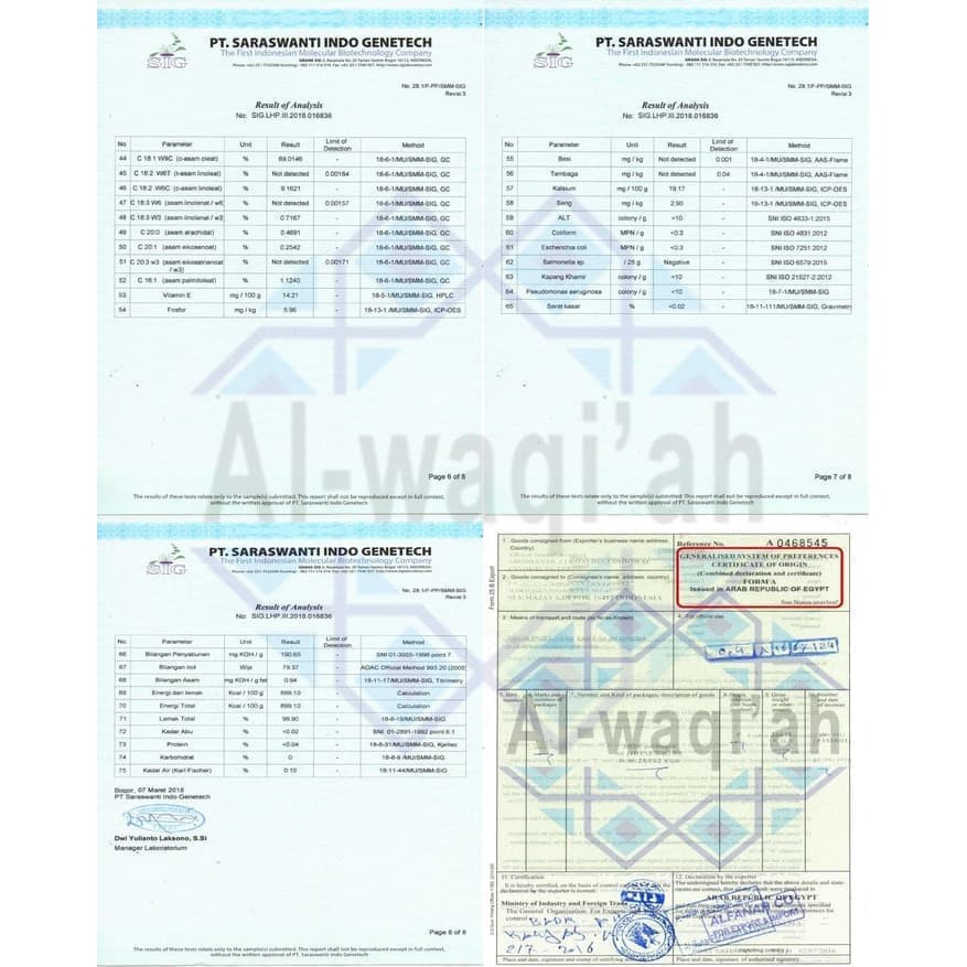 Minyak Habbatus Sauda Asli / Habbatussauda / Import Arab