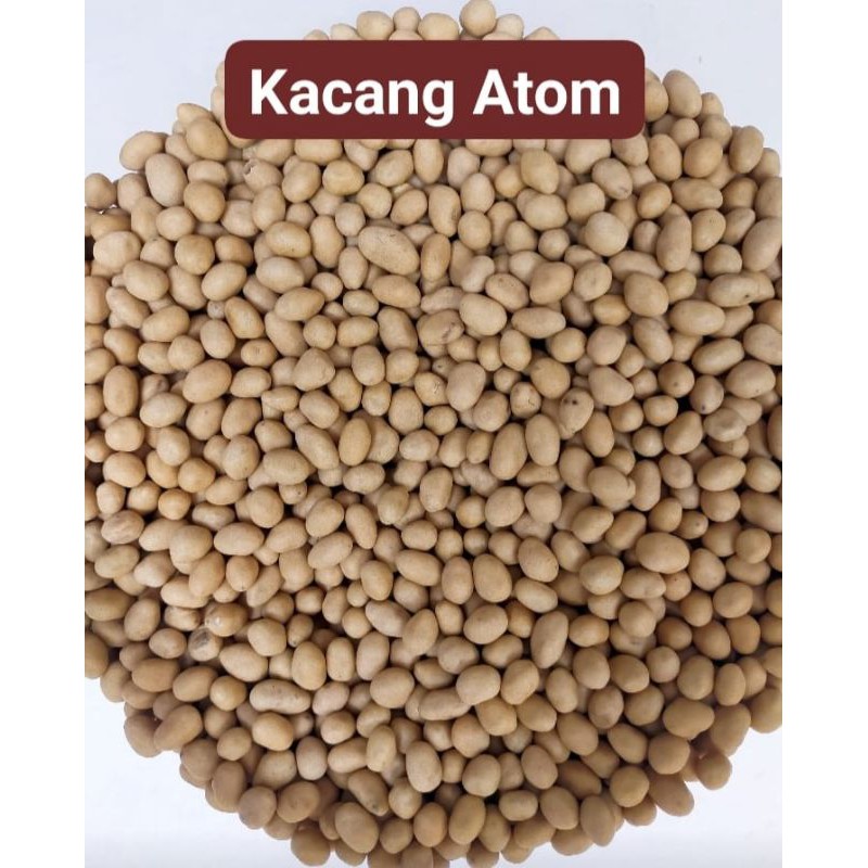 

.1kg kacang atom / kacang oven (ds bgr)