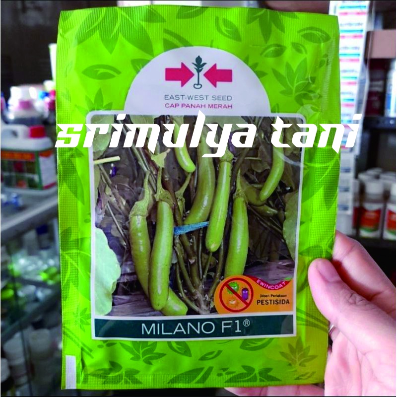 benih bibit terong hijau milano f1 cap panah merah 1.100butir