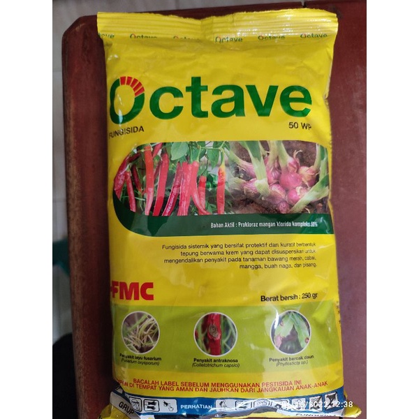 OCTAVE 50WP 250GR