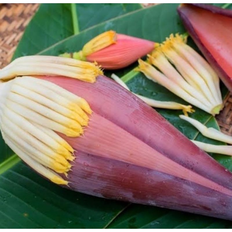 

jual jantung pisang/kg