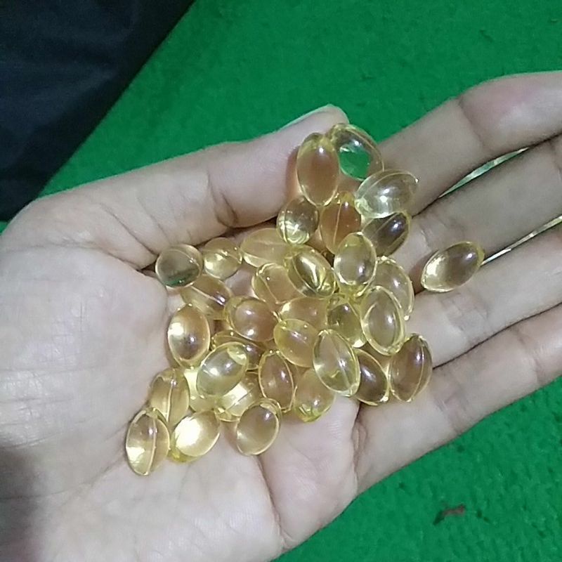 minyak ikan suplemen burung & kucing