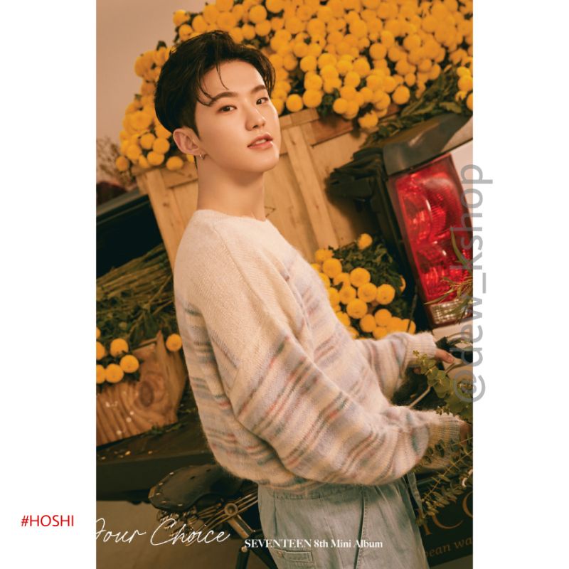 POSTER SEVENTEEN - 'Your Choice' ONE SIDE Ver. #HOSHI #JUN #THE8 #DINO