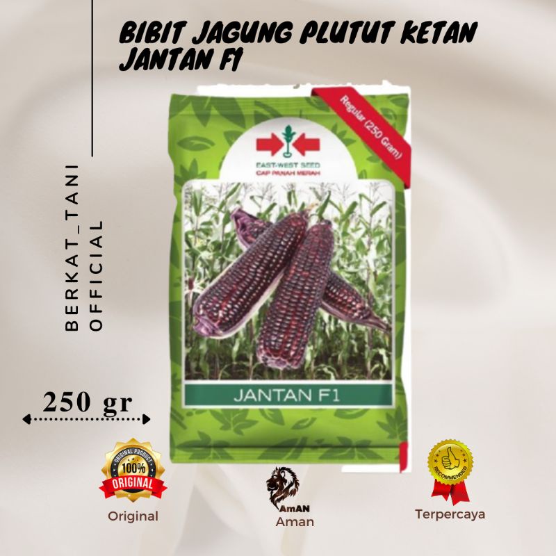 Bibit Benih Jagung ketan Pulut Ungu Ketan Hitam Segar Cap Panah Merah Original Pertanian Unggul
