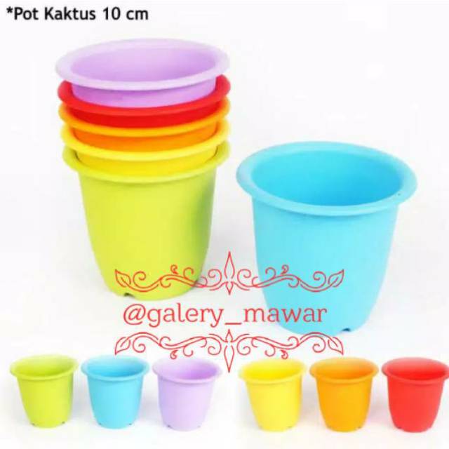 Pot tanaman kaktus mini warna warni Shopee Indonesia Pot tanaman kaktus mini warna warni Shopee Indonesia